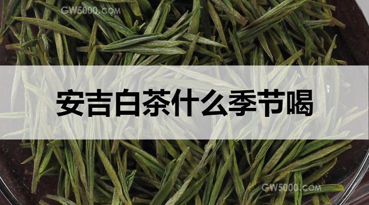 夏季适合喝安吉白茶吗？