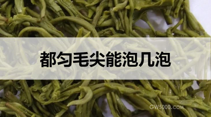 都匀毛尖能泡几泡？