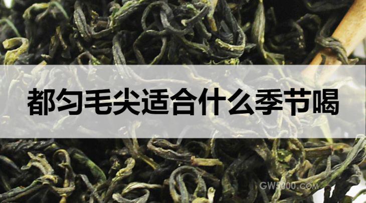 都匀毛尖适合什么季节饮用？