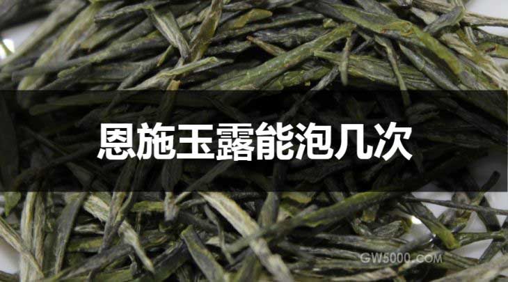 恩施玉露能泡几次？