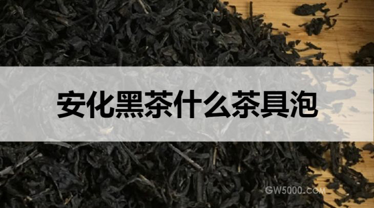 安化黑茶用什么茶具泡？