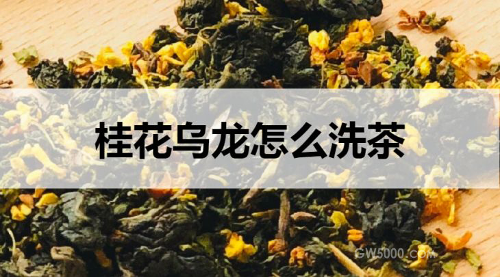 桂花乌龙怎么洗茶？