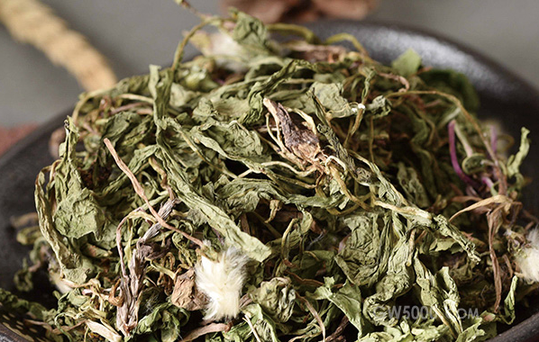 丁香茶和蒲公英可同服吗？丁香蒲公英茶的功效与作用是什么呢？