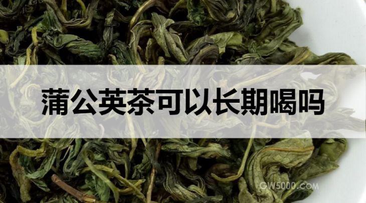 蒲公英茶可以长期饮用吗？