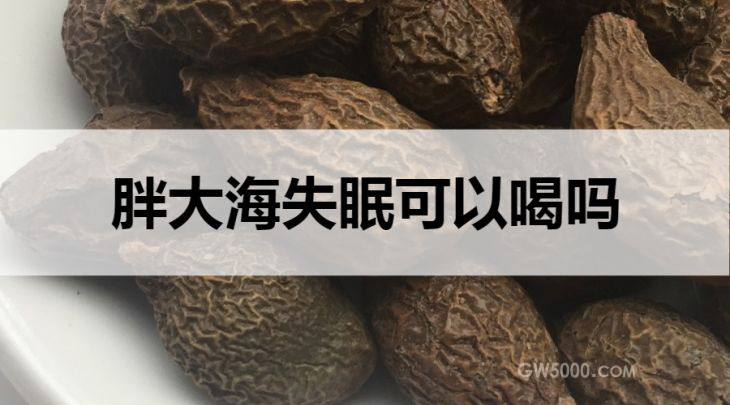 失眠可以喝胖大海茶吗？