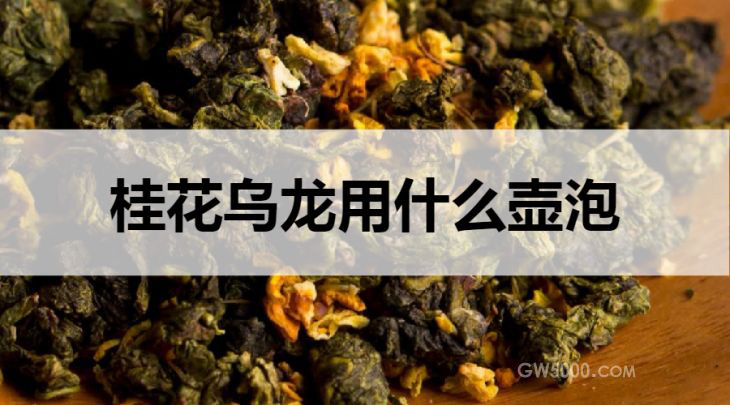 什么壶适合泡桂花乌龙茶？