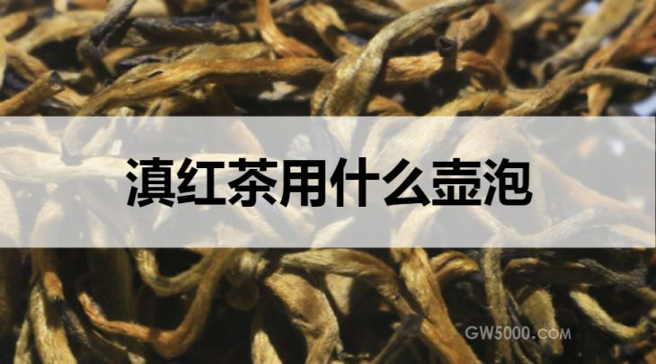 滇红茶适合什么壶泡？
