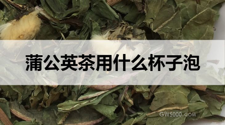 蒲公英茶用什么杯子泡？