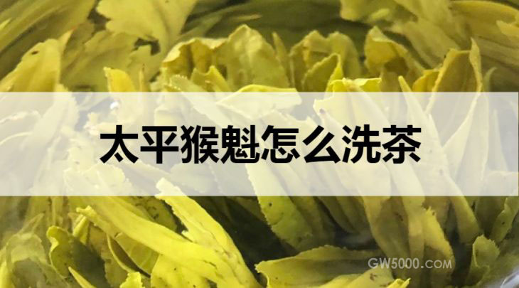 太平猴魁怎么洗茶？