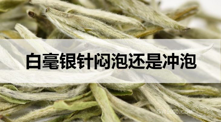 白毫银针闷泡还是冲泡？