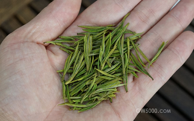 黄山毛峰和安吉白茶的区别(4个方面)