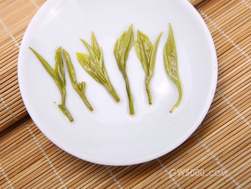 汀溪兰香是什么茶？学会这些方法，让你喝出它的真味道！