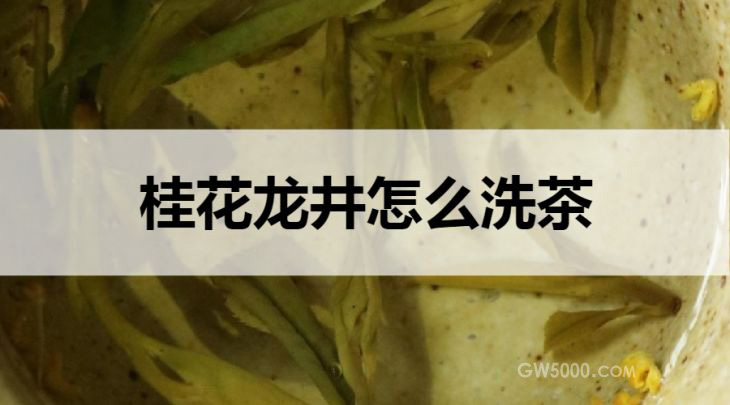 桂花龙井怎么洗茶？