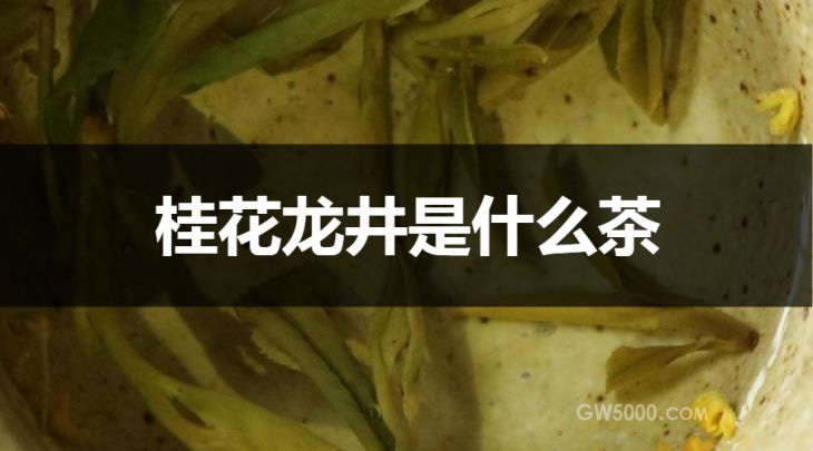 桂花龙井是什么茶？