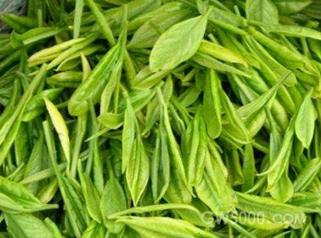 敬亭绿雪茶多少钱一斤？敬亭绿雪茶的价格会被什么因素影响？