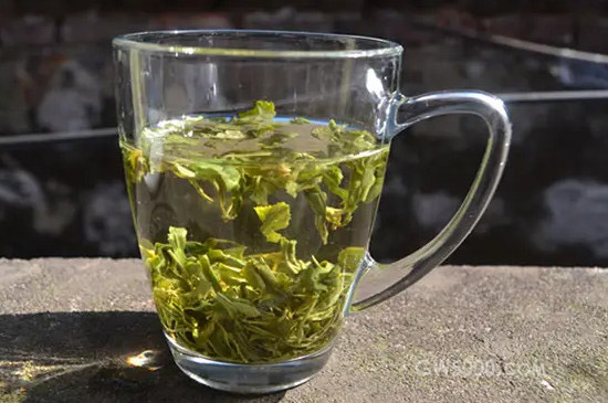 云雾绿茶什么水温泡比较好