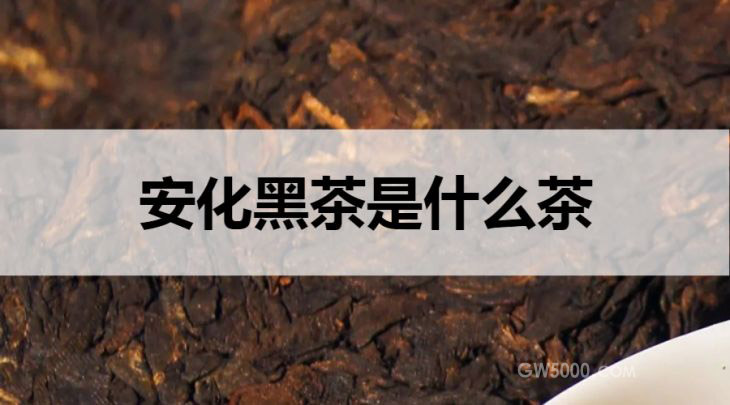 安化黑茶是什么茶？