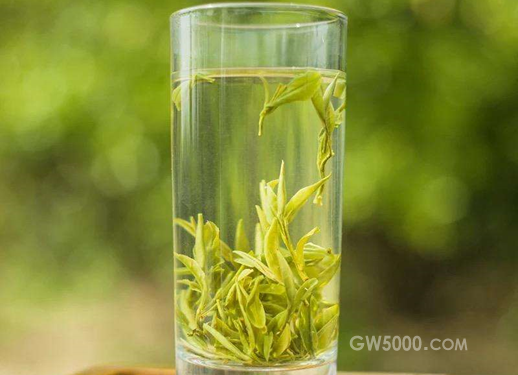 汀溪兰香是什么茶？学会这些方法，让你喝出它的真味道！