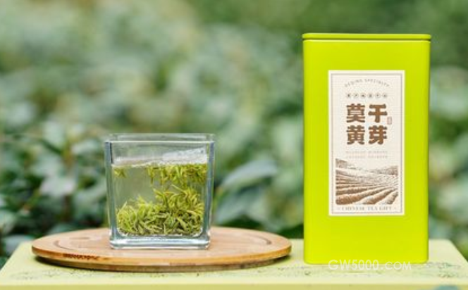 小众茶-莫干黄芽茶