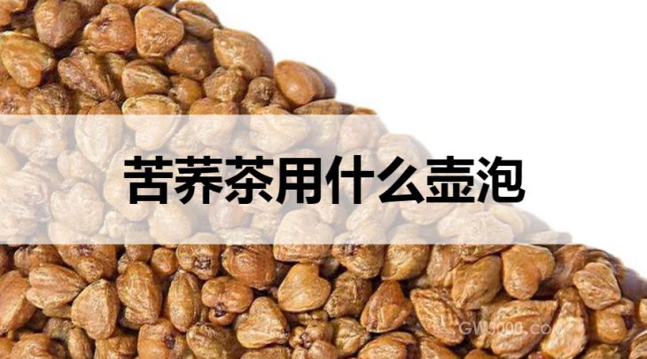 苦荞茶适合什么壶泡？