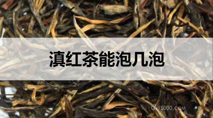 滇红茶能泡几泡？