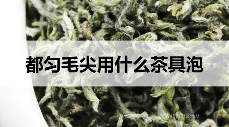 都匀毛尖用什么茶具泡？