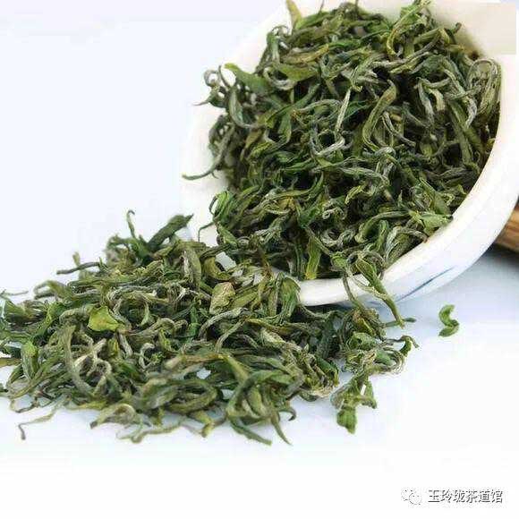 茶知识：莫干黄芽