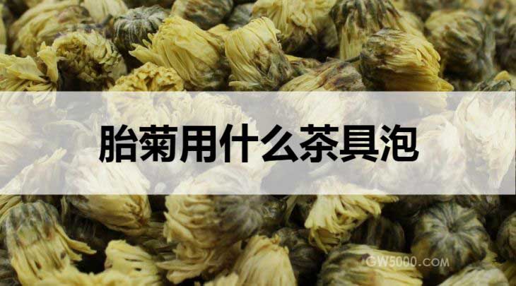 胎菊用什么茶具泡？