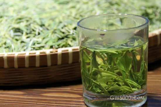 龙井茶怎么泡才正确方法