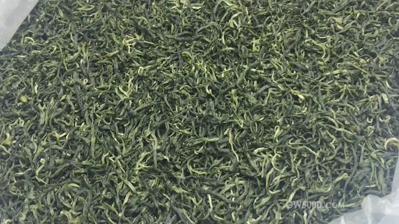 云雾茶是什么茶_高山云雾茶是什么茶
