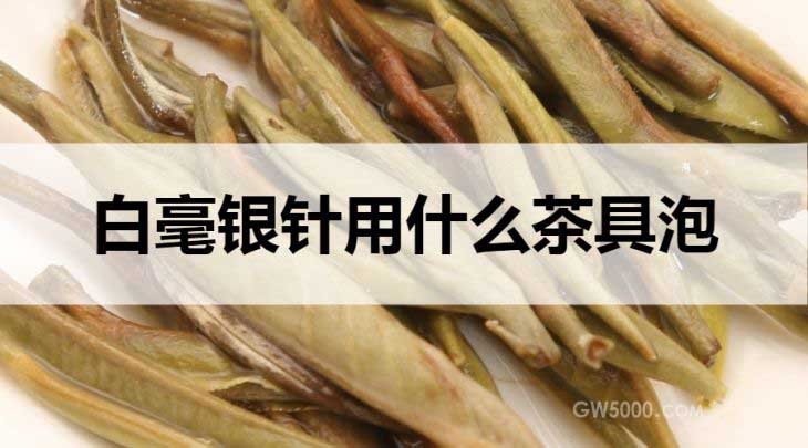 白毫银针适合什么茶具泡？