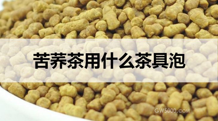 苦荞茶用什么茶具泡？