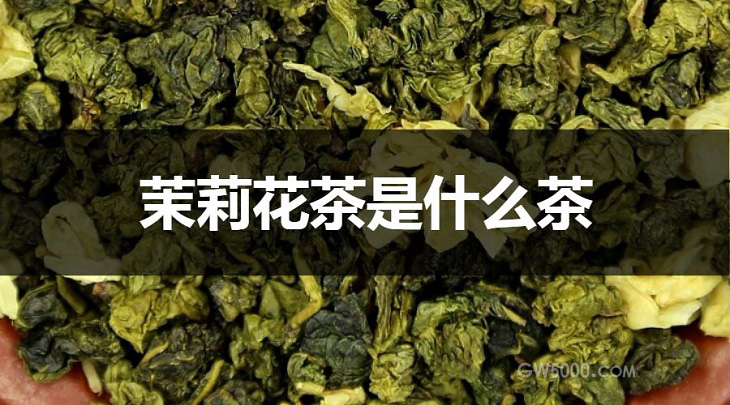 茉莉花茶是什么茶？