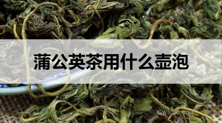 蒲公英茶用什么壶泡？