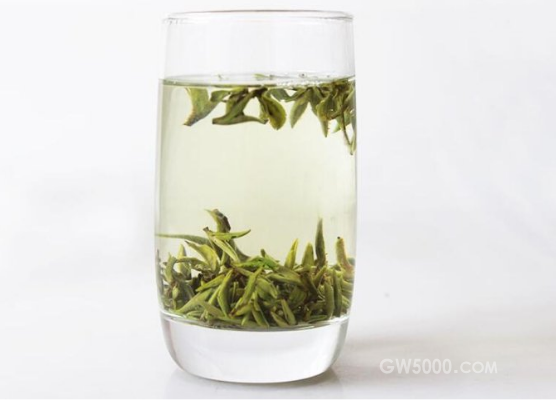 敬亭绿雪茶的保质期是多久？原来绿雪茶保质期这样长！