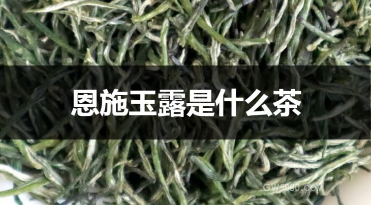 恩施玉露是什么茶？（蒸青绿茶）