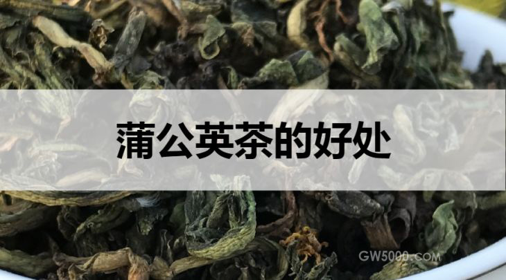 蒲公英茶的好处有哪些？