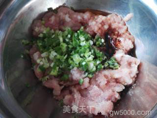猪肉香葱肉卷的做法步骤：3