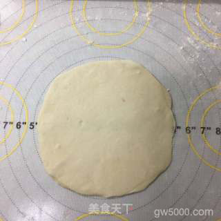秘制烤鸭的做法步骤：16