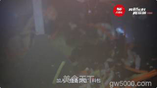 真滋味鱼香肉丝的做法步骤：4
