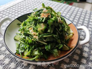 老虎菜的做法步骤：9