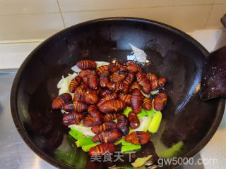 葱烧茧蛹的做法步骤：9