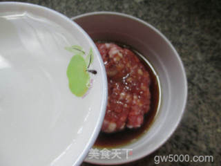 汽水肉的做法步骤：5
