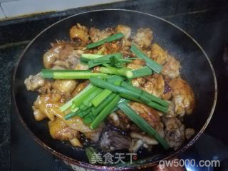 三杯鸡的做法步骤：10