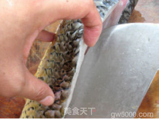 酸菜鱼的做法步骤：4