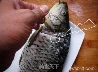酸菜鱼的做法步骤：2