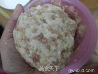 淮扬清炖狮子头的做法步骤：15