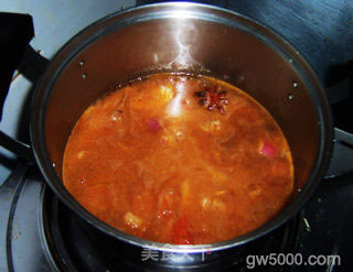 冬季养生菜的最佳搭配---番茄胡萝卜炖牛腩的做法步骤：10