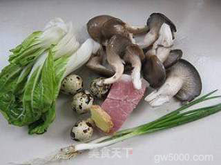 鲜香嫩滑—清汤肉滑的做法步骤：1