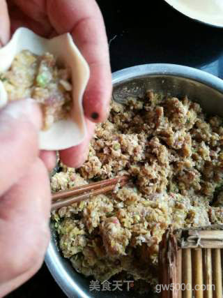 【山西】胡萝卜羊肉饺子的做法步骤：9